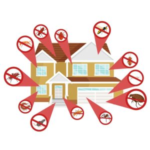 sydney pest control homes and businesses