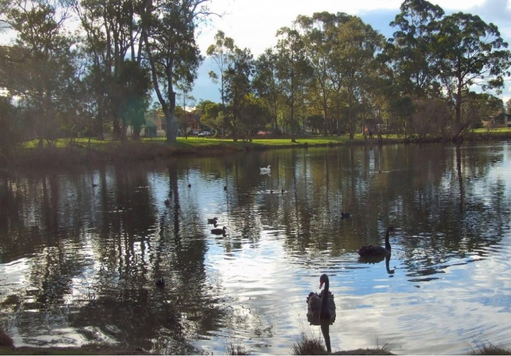 Clinches Pond Environment Group in Moorebank, NSW - 13 Feb, 2021 Sat 9:00am