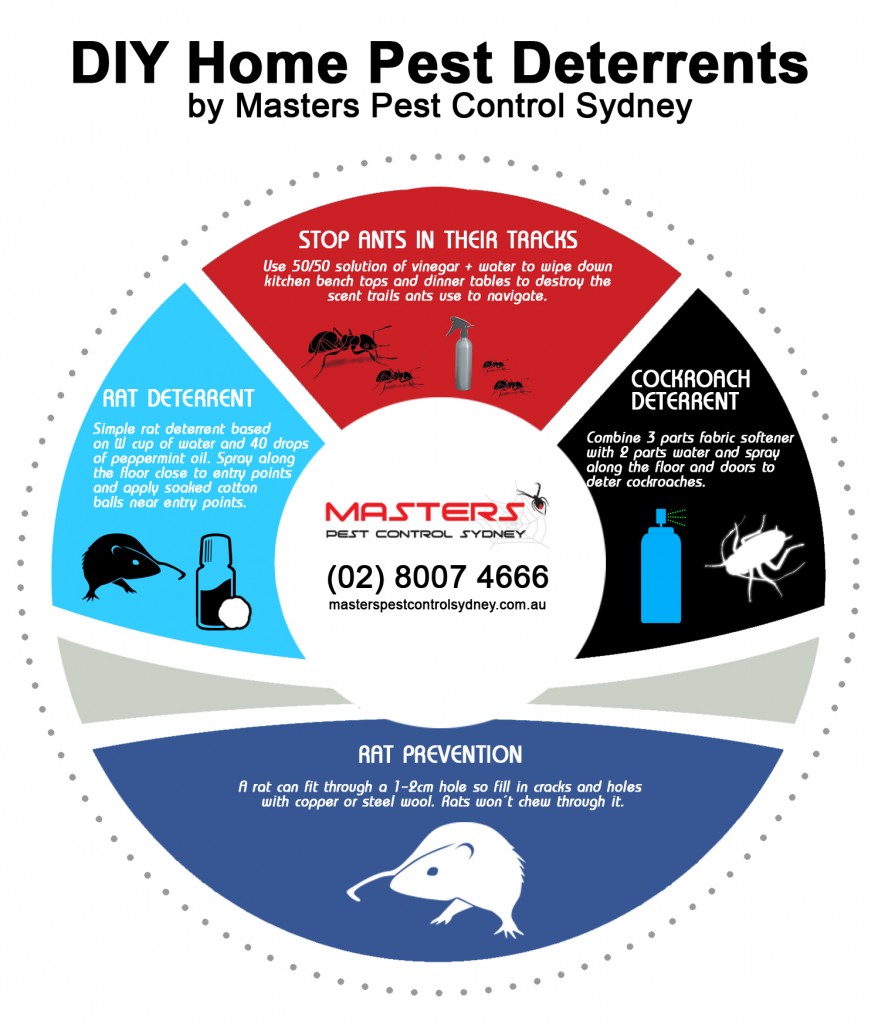 https://www.masterspestcontrolsydney.com.au/wp-content/uploads/rat-pest-control.jpg